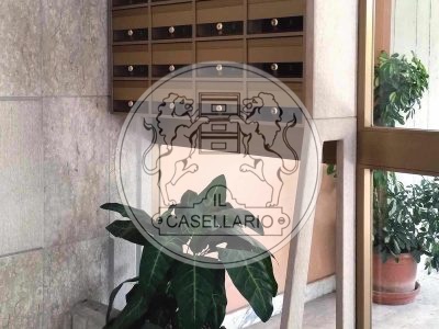 ADF350 - Dettaglio fronte